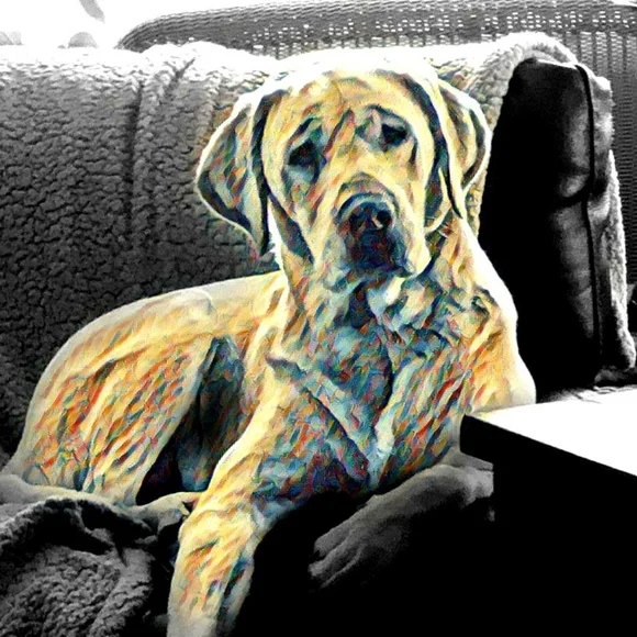 Custom Pet Portrait! - Picture 8 of 10